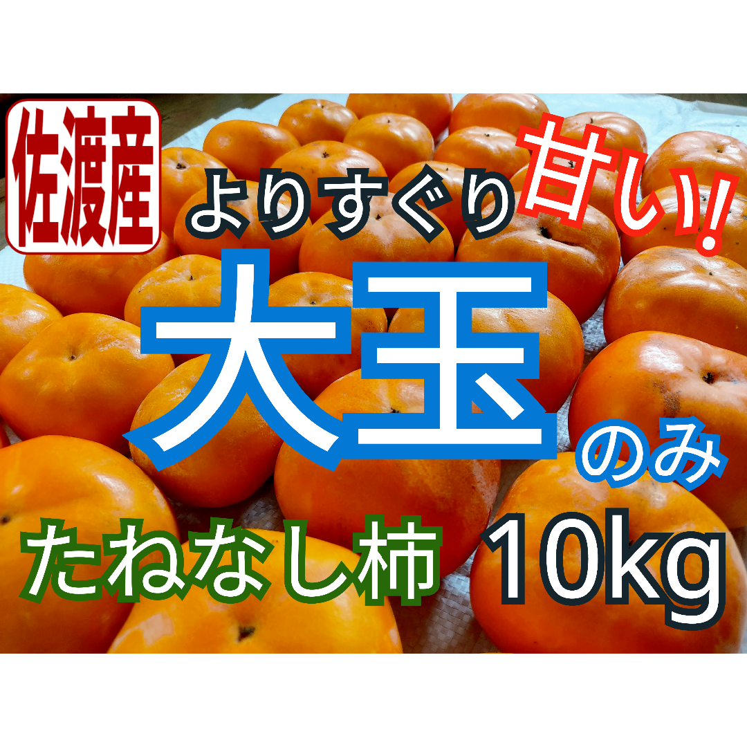 大玉のみ！!(2L~4L)たねなし柿10㎏南佐渡産