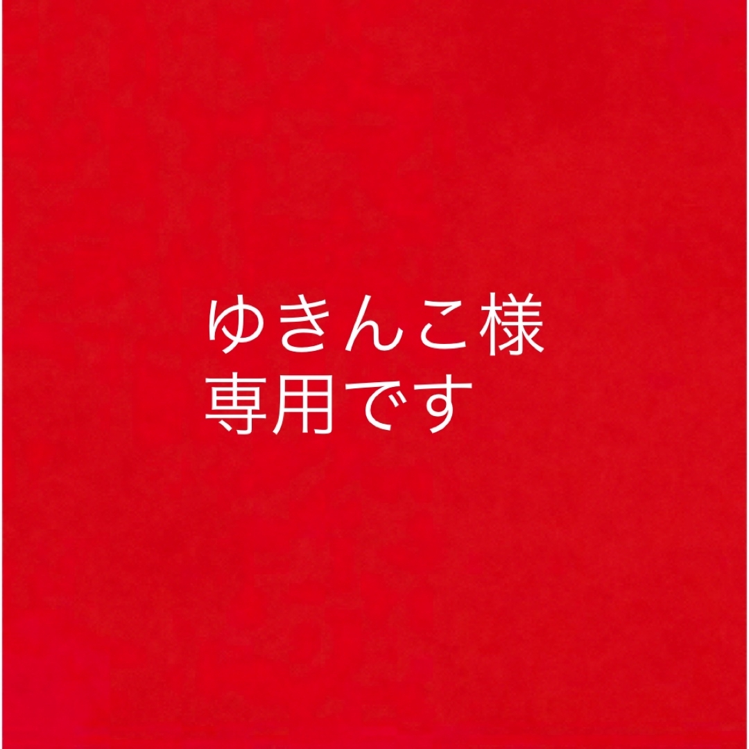 ゆきんこ様専用です*-