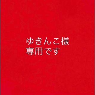 ノエビア(noevir)のゆきんこ様専用です(化粧水/ローション)