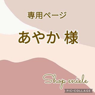 あやか様専用☆。.:＊・゜(バッテリー/充電器)