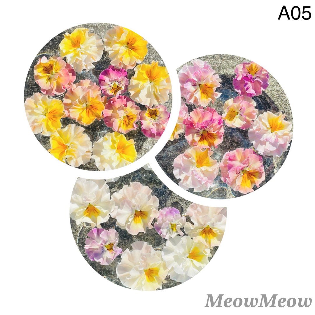 【A05】MeowMeow交配 フリルミニパンジーの種 混合 30粒 ハンドメイドのフラワー/ガーデン(その他)の商品写真