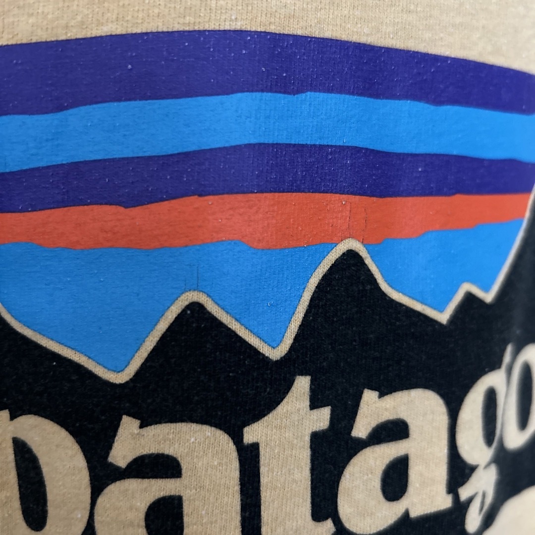 patagonia(パタゴニア)のパタゴニア/Patagonia/Tシャツ/カットソー メンズのトップス(Tシャツ/カットソー(半袖/袖なし))の商品写真