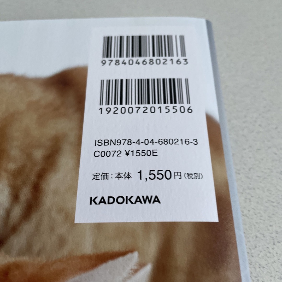 角川書店(カドカワショテン)の花江夏樹　こんぺいとみそ　写真集 その他のペット用品(猫)の商品写真