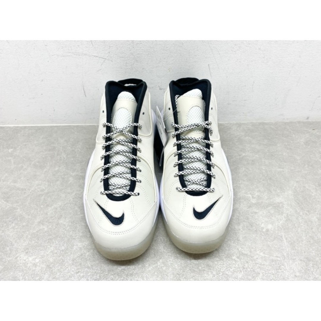 NIKE（ナイキ）AIR ZOOM FLIGHT 95 エアズーム フライト 95 DX5505-100/29.0cm【B0194-007】