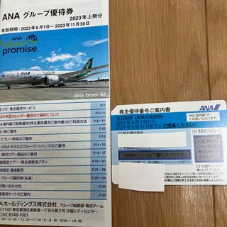 エーエヌエー(ゼンニッポンクウユ)(ANA(全日本空輸))のANA  株主優待券　1枚　冊子付き(航空券)