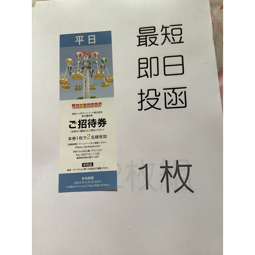 【来年2024年6月末まで】伊豆ぐらんぱる公園等3施設　平日2名分　チケット