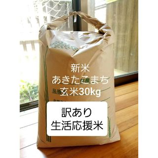 新米 イセヒカリ 10kg 残留農薬検査済の通販 by 勘助's shop｜ラクマ