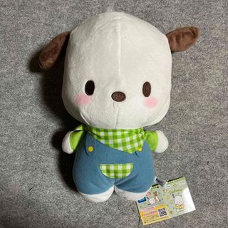 サンリオ(サンリオ)のポチャッコ ぬいぐるみBIG(ぬいぐるみ)