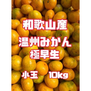⭐︎和歌山産⭐︎ 温州みかん 小玉 10kg 訳あり　極早生　みかん　柑橘類(フルーツ)