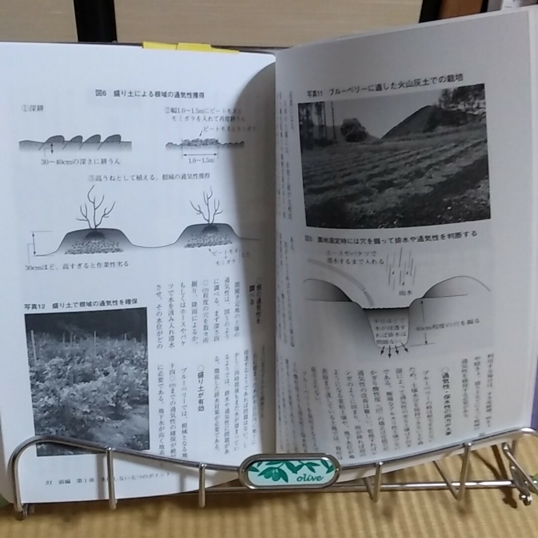 ブル－ベリ－の作業便利帳 種類・品種選びとよく成る株のつくり方 エンタメ/ホビーの本(ビジネス/経済)の商品写真