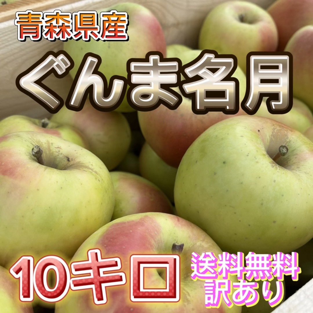 青森県産　ぐんま名月　訳あり　りんご　10キロ　送料無料　産地直送　ご家庭