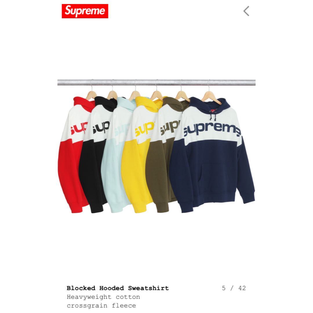 Supreme シュプリーム 17AW Blocked Hooded