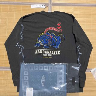 ネイバーフッド(NEIGHBORHOOD)のCHALLENGER  BANDANA LYZE TIGER ロンt tシャツ(Tシャツ/カットソー(七分/長袖))