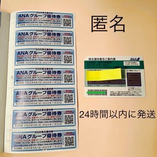 エーエヌエー(ゼンニッポンクウユ)(ANA(全日本空輸))のANA株主優待券、冊子セット　(航空券)