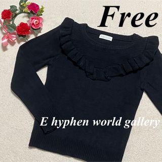 イーハイフンワールドギャラリー(E hyphen world gallery)のE hyphen world gallery♡長袖ニットセーター　ネイビー　F(ニット/セーター)