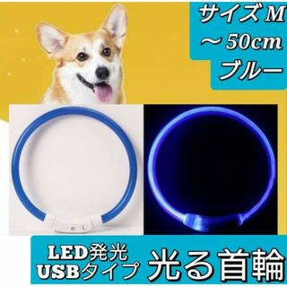 ブルー　光る首輪　散歩　LEDライト　USB充電　М　50㎝　点滅　犬　ペット(犬)