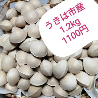 新豆 北海道石狩産 大納言小豆 11.0kg
