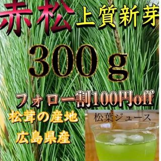 上質新芽 赤松、松葉 松の葉、松葉茶、松葉ジュースに、300㌘、樹液たっぷり(野菜)