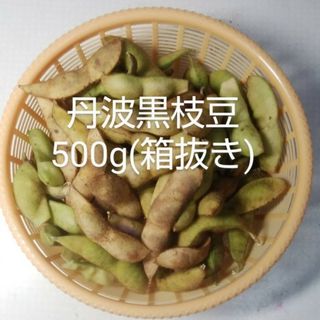 丹波黒枝豆 さや500g 《箱抜き》(野菜)