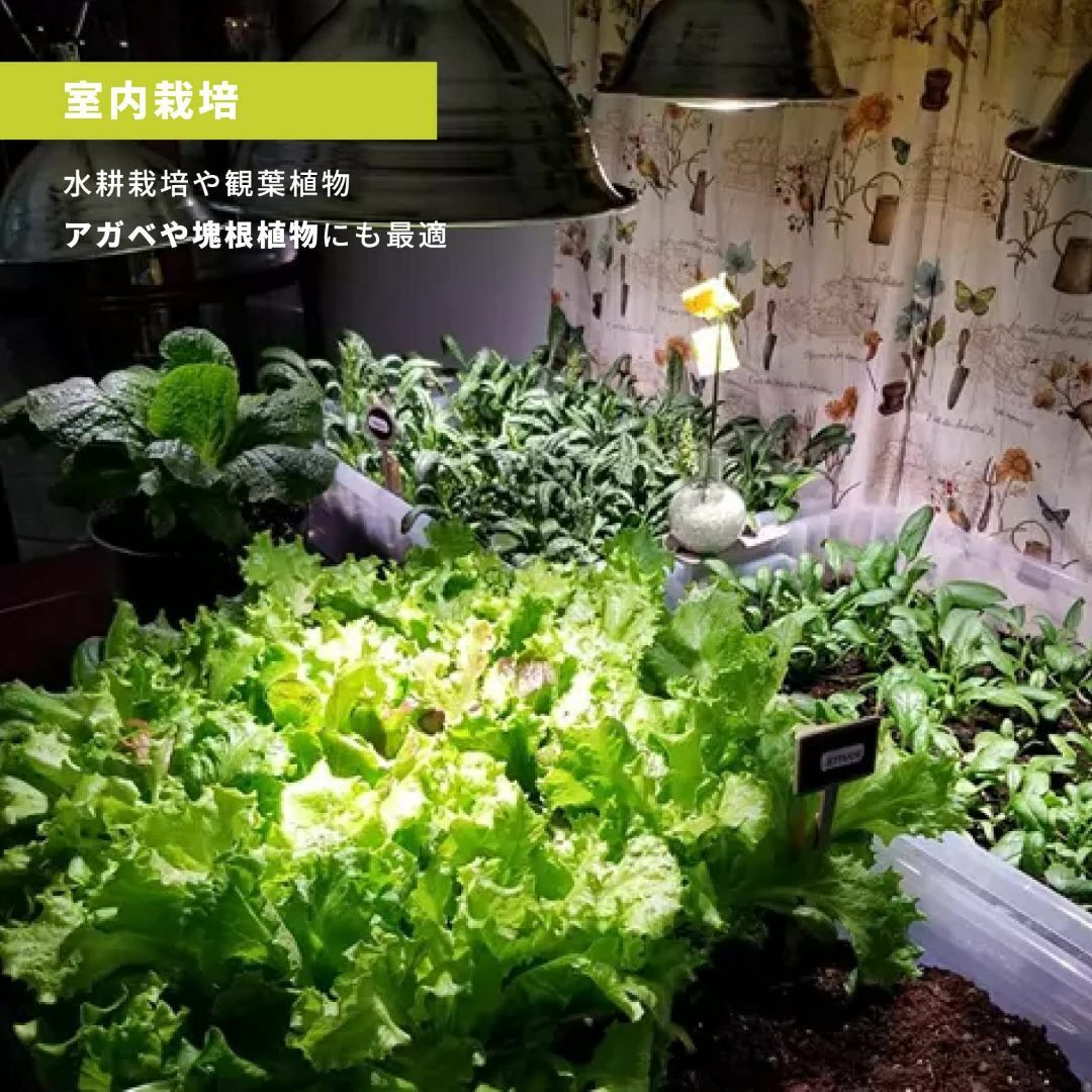 LIME LIGHT 植物育成ライト LED 園芸店と共同開発 高PPFD106