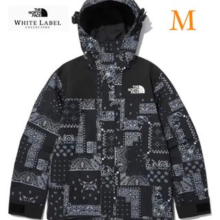 レア☆THE NORTH FACE☆ ペイズリー マウンテンジャケット 2XL