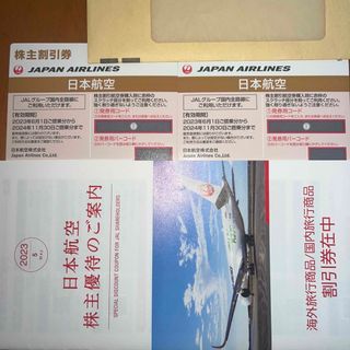 JAL 株主優待割引券2枚(その他)