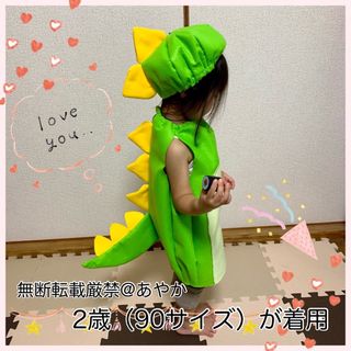 恐竜　干支　辰年　竜　龍　誕生日　年賀状　ハロウィン　コスプレ　子供　帽子　仮装