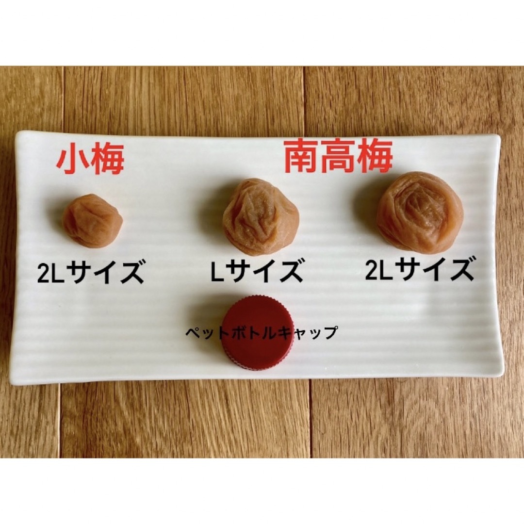 新物!紀州南高梅  無添加昔ながらのすっぱい赤紫蘇梅干しL 家庭用250g×2① 食品/飲料/酒の加工食品(漬物)の商品写真