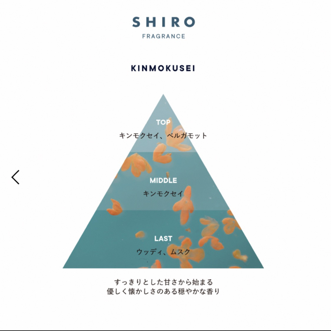 shiro(シロ)の【未使用】SHIRO  キンモクセイ　KINMOKUSEI  オールドパルファン コスメ/美容の香水(香水(女性用))の商品写真