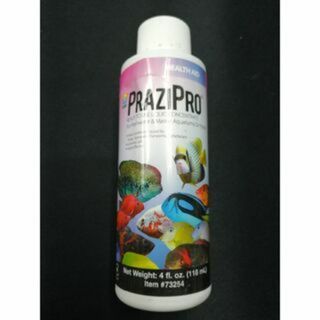 Hikari PRAZIPRO ヒカリ プラジプロ 33ml(アクアリウム)