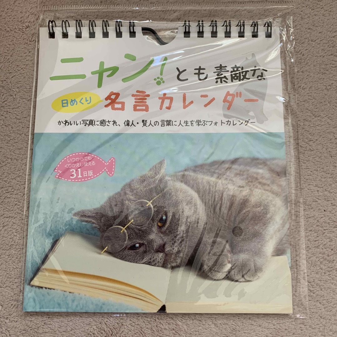 DAISO(ダイソー)のニャン！とも素敵な日めくり名言カレンダー　31日版 インテリア/住まい/日用品の文房具(カレンダー/スケジュール)の商品写真