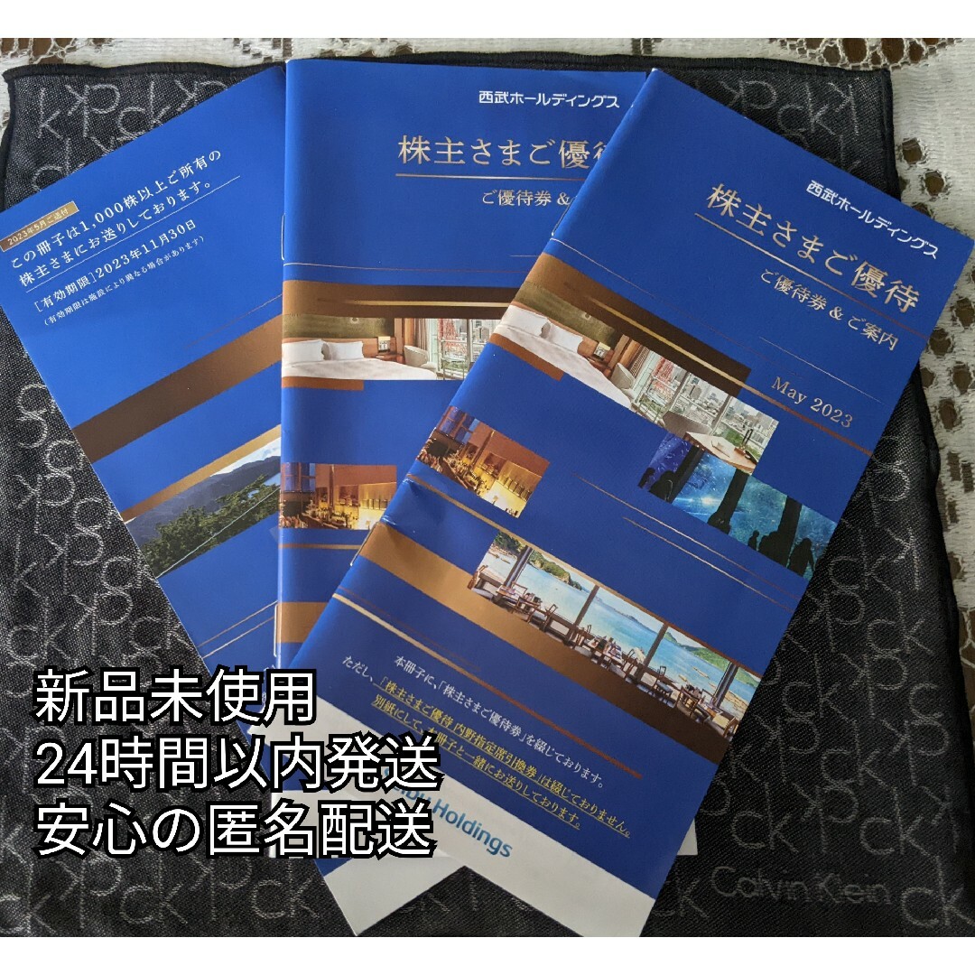 西武ホールディングスの株主優待券 3冊分-