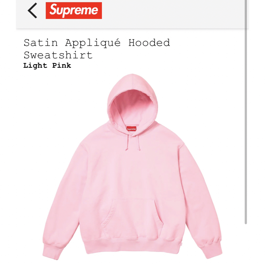 Supreme(シュプリーム)のSupreme Satin Applique Hooded Sweatshirt メンズのトップス(パーカー)の商品写真