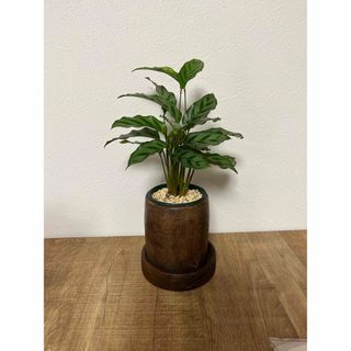 観葉植物　鉢カバー　木製(プランター)