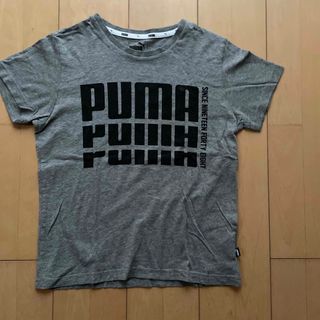 プーマ(PUMA)のPUMA  Tシャツ　140センチ(Tシャツ/カットソー)