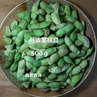 丹波黒枝豆 さや500g 《箱抜き》(野菜)