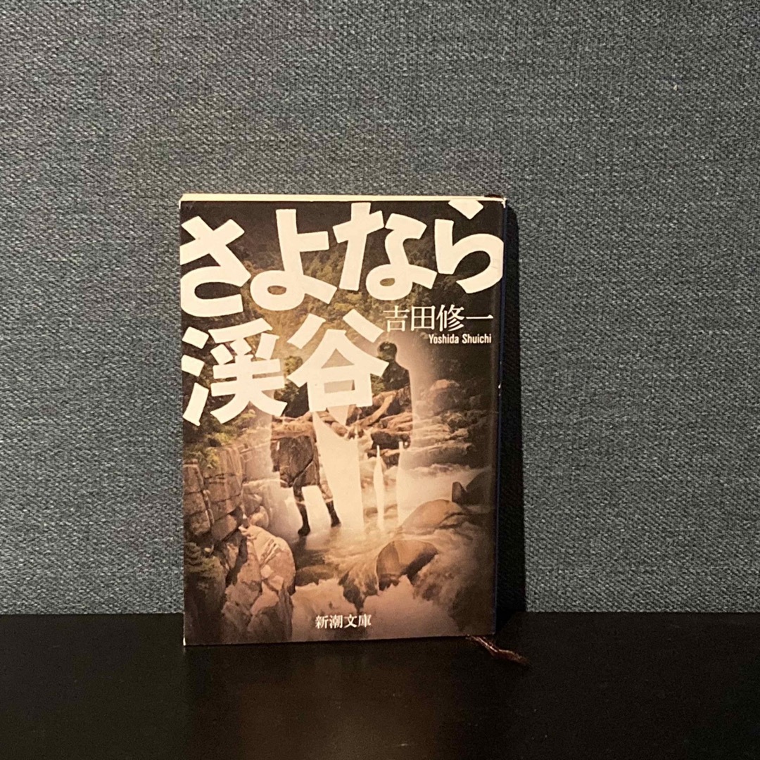 さよなら渓谷　吉田修一 エンタメ/ホビーの本(文学/小説)の商品写真