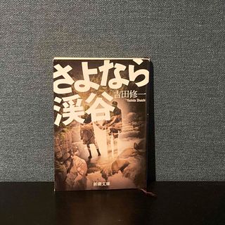 さよなら渓谷　吉田修一(文学/小説)