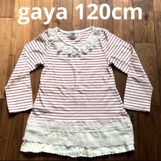 ガヤ(GAYA)のgaya ボーダー　チュニック　ロンT 長袖シャツ(Tシャツ/カットソー)