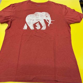 バナナリパブリック(Banana Republic)のバナナリパブリック　Tシャツ  M(Tシャツ/カットソー(半袖/袖なし))