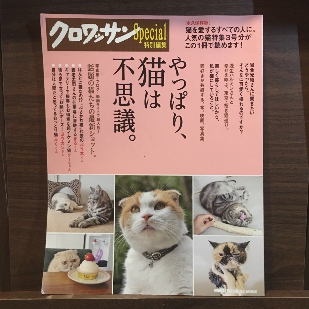 やっぱり、猫は不思議。 永久保存版 エンタメ/ホビーの本(住まい/暮らし/子育て)の商品写真