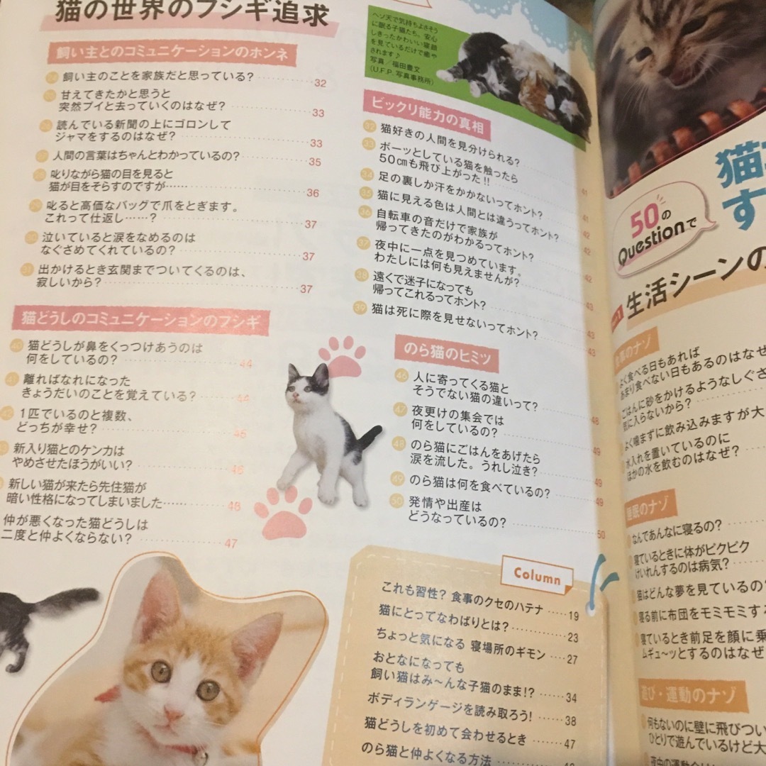 うちの猫のキモチがわかる本 まるごと猫ゴコロ編 改訂版 エンタメ/ホビーの本(住まい/暮らし/子育て)の商品写真