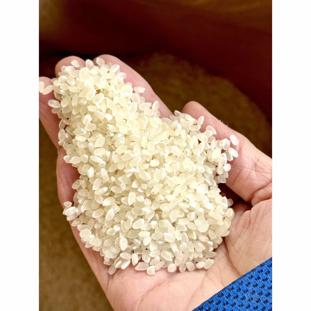 たぬきさんちのお米 新潟県産純米コシヒカリ5kg 食品/飲料/酒の食品(米/穀物)の商品写真