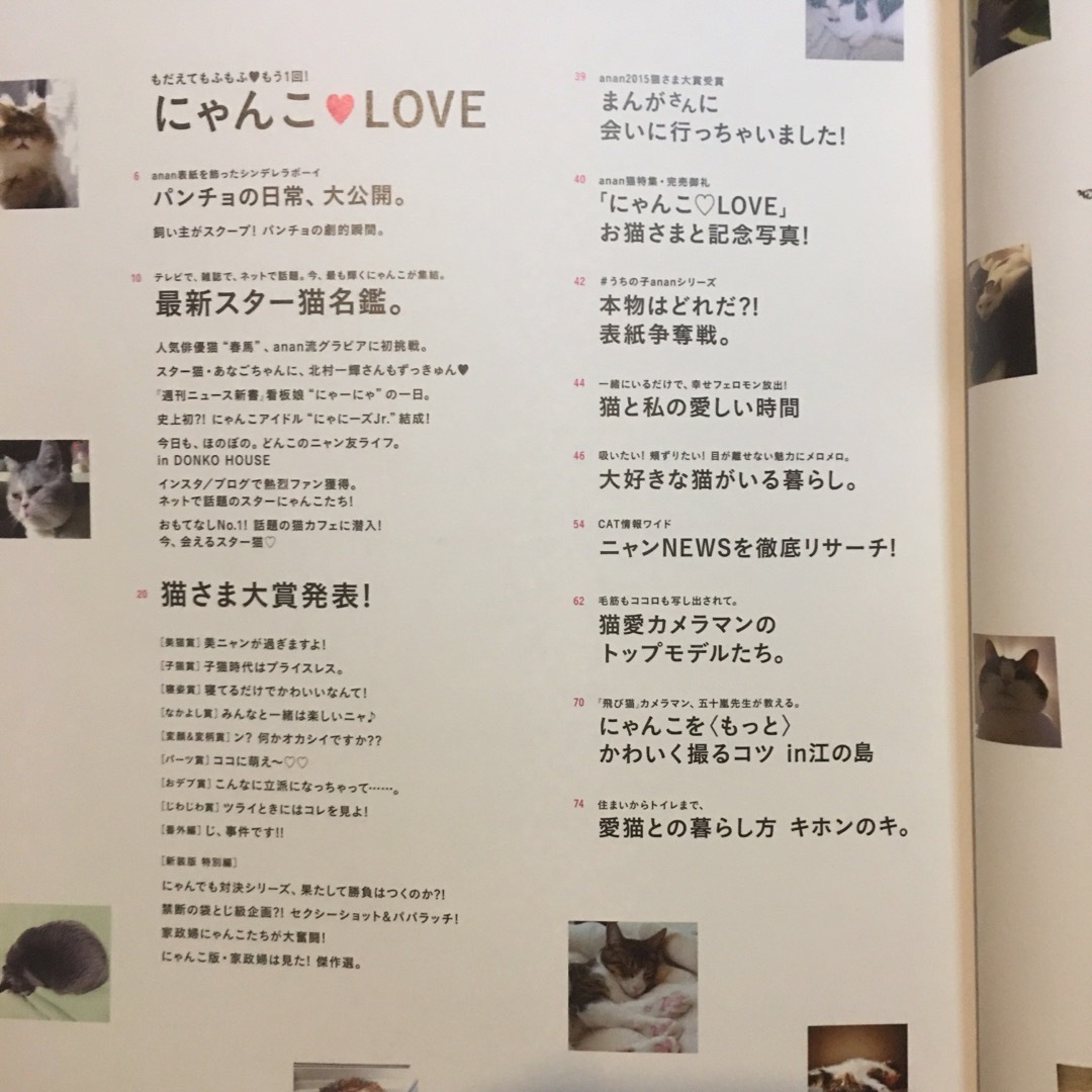 にゃんこ・ＬＯＶＥ もう１回！もだえてもふもふ 新装版 エンタメ/ホビーの本(住まい/暮らし/子育て)の商品写真