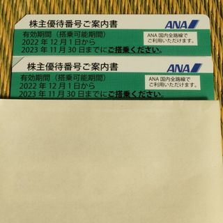 エーエヌエー(ゼンニッポンクウユ)(ANA(全日本空輸))のANA株主優待券　2枚(ショッピング)