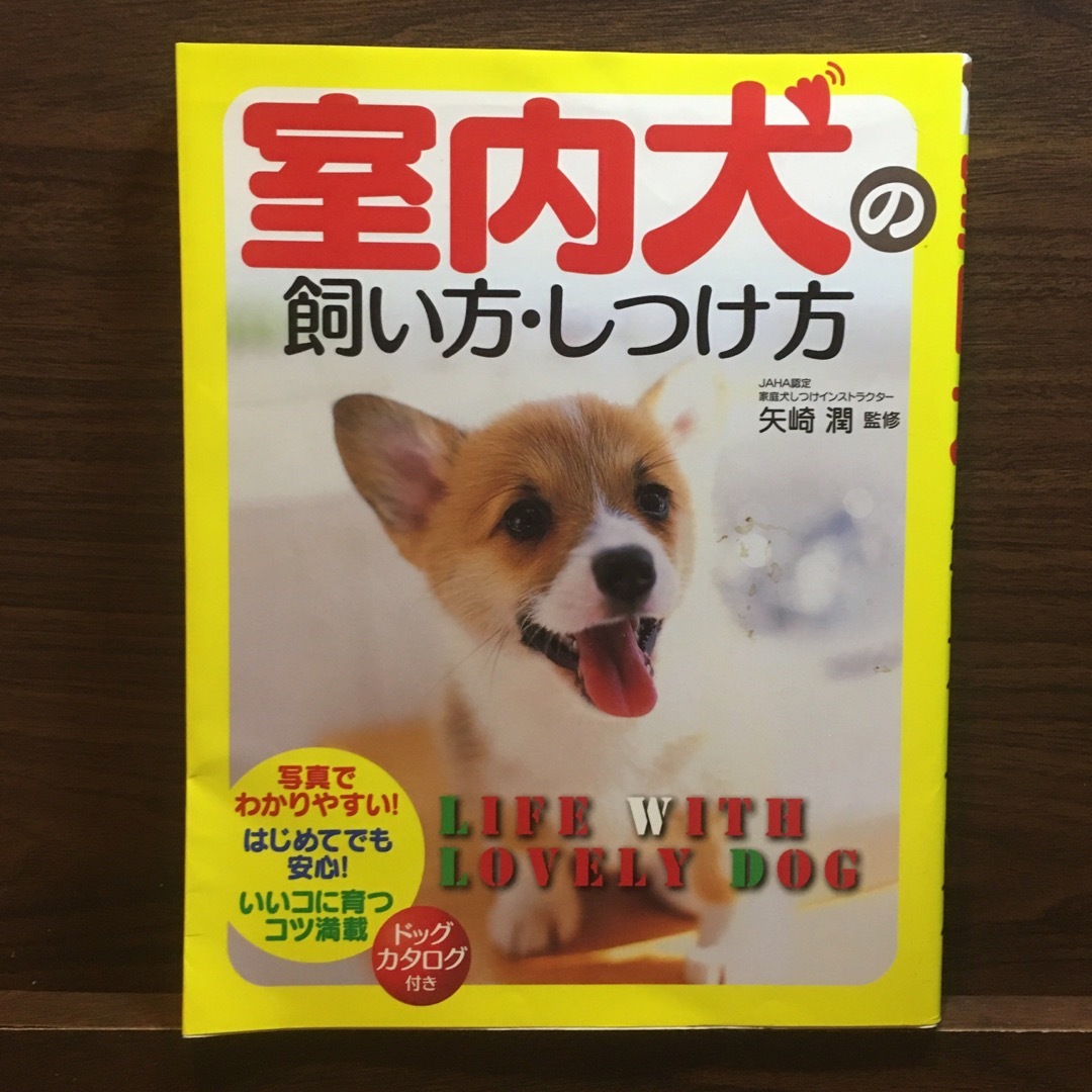 室内犬の飼い方・しつけ方 エンタメ/ホビーの本(住まい/暮らし/子育て)の商品写真