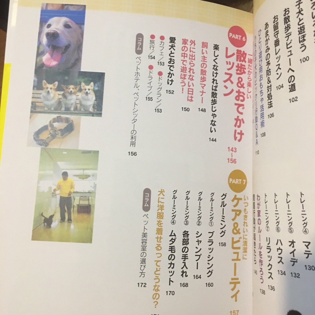 室内犬の飼い方・しつけ方 エンタメ/ホビーの本(住まい/暮らし/子育て)の商品写真