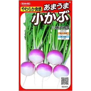 サカタのタネ やわらか食感 あまうま小かぶ あやめ雪 実咲シリーズ　種子　30粒(野菜)