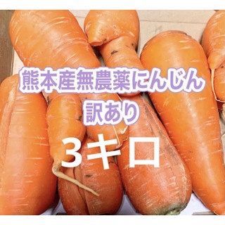 熊本産農薬不使用にんじん訳あり3キロ(野菜)