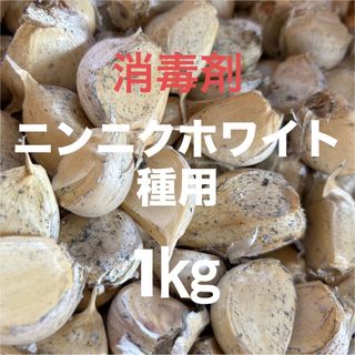 北海道産　にんにくホワイト種用1キロ(野菜)